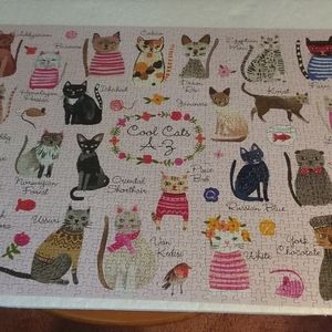 Cool Cats Jigsaw Puzzle